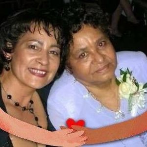 Meet your Posher, Evie